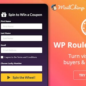 wp roulette wheel spin to win woocommerce coupons & discounts